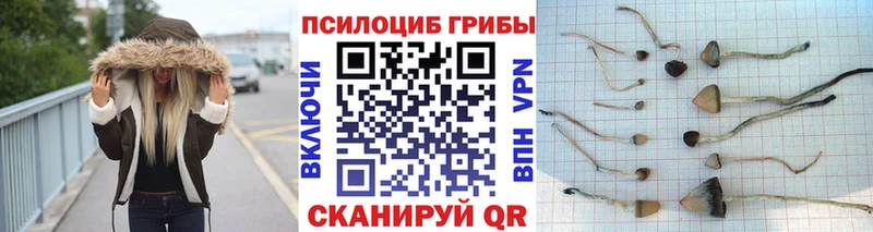 Псилоцибиновые грибы Magic Shrooms  Горняк 